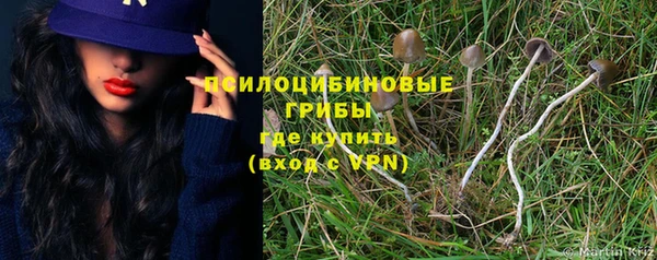 амфетамин Алексин