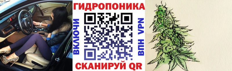что такое наркотик  Динская  Каннабис сатива 